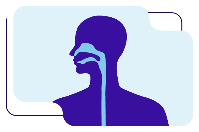 Head and neck